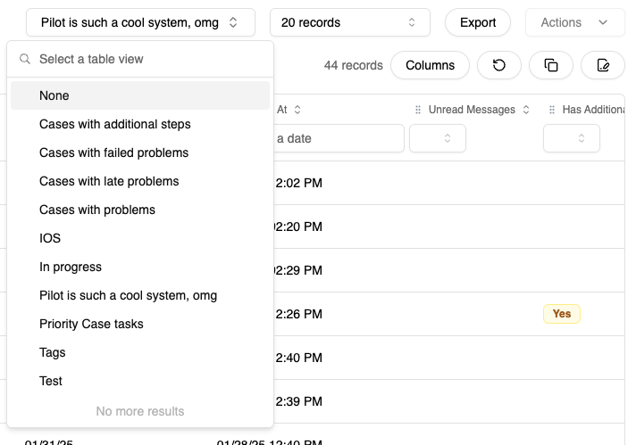 Filter Views - Access Filter Views